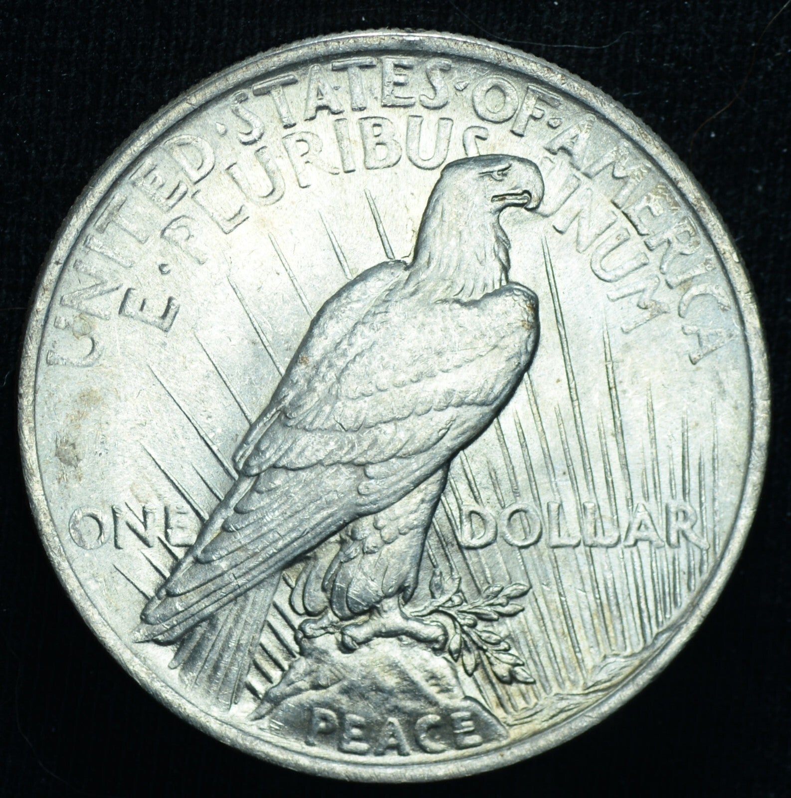 1924 Peace Dollar BU Blazer ~ 26210