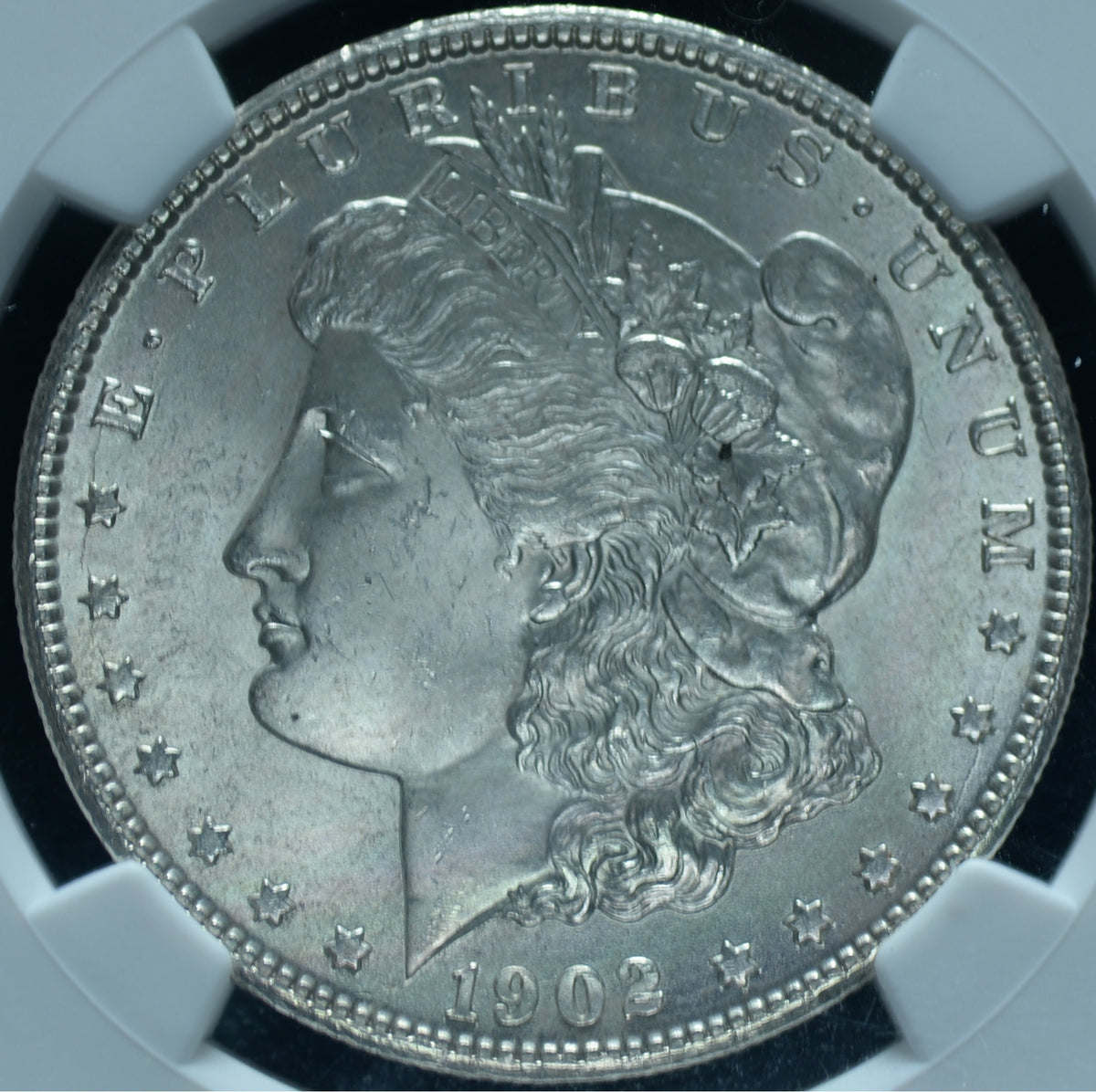 1902-O Morgan Dollar NGC MS 66 - Premium Gem ~ 26100