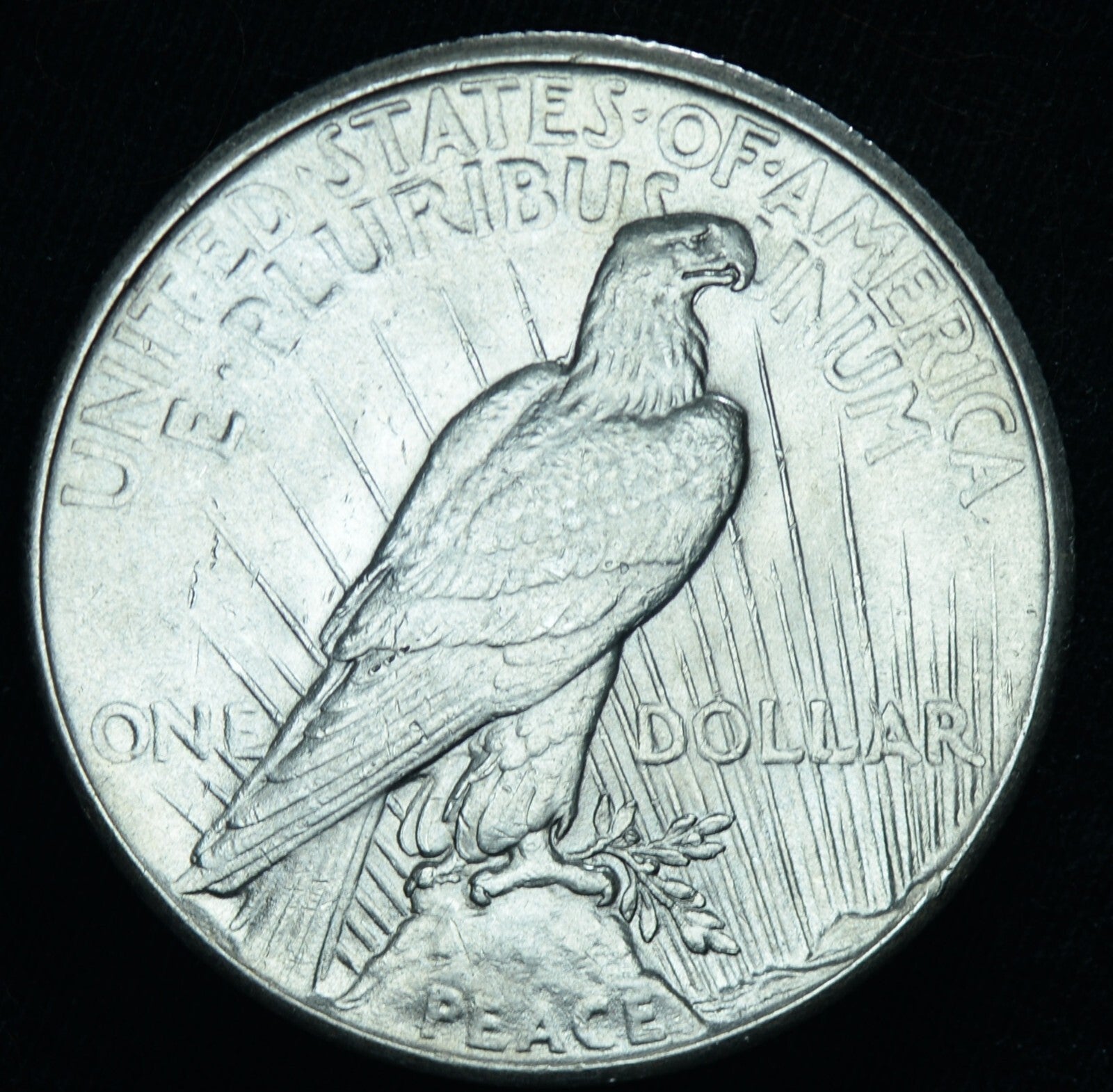 1926 Peace Dollar AU/BU Slider - 26065