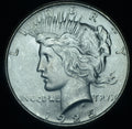 1925 Peace Dollar BU Gem Blazing White ~ 24663