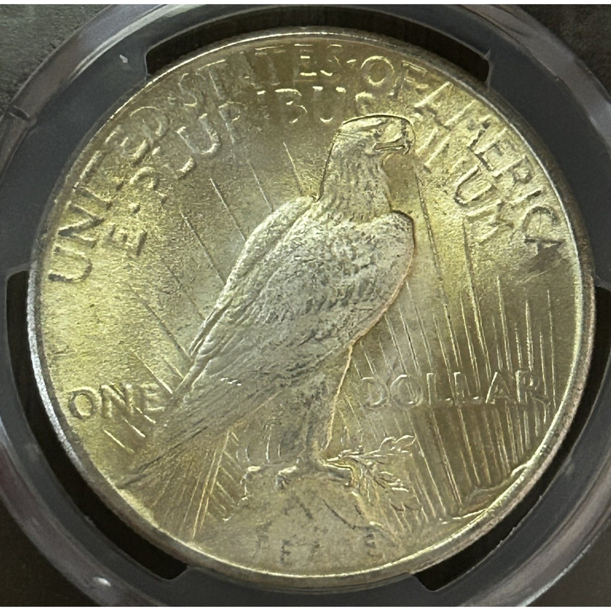 1924 $1 Peace Dollar PCGS MS62 ~ 26270