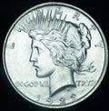 1923 Peace Dollar BU Gem Blazing White ~ 24658