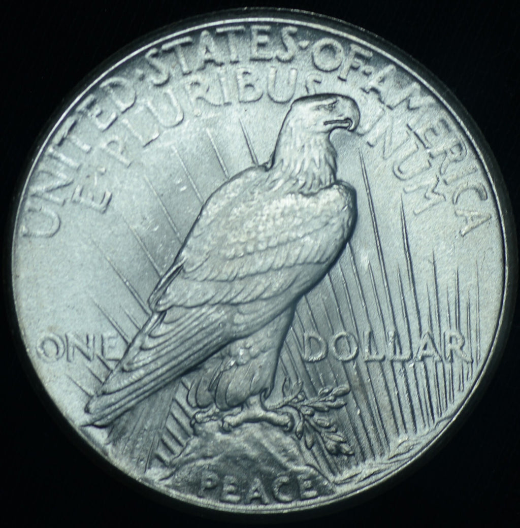 1925 Peace Dollar BU Gem Blazing White ~ 24663